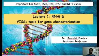 RNAi and VIGS for gene characterization [upl. by Crelin]