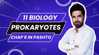 Introduction to prokaryotes  Class 11 biology  Chapter 6 in pashto [upl. by Asyral]