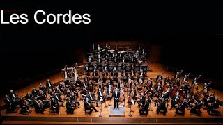 Les instruments de lOrchestre Symphonique  Les Cordes frottées [upl. by Drusi]