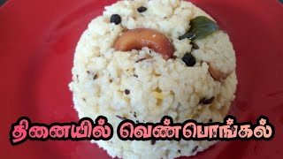 தினை வெண்பொங்கல் தேங்காய் சட்னி  Thinai recipes in Tamil [upl. by Anil606]