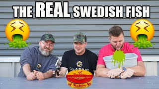 We Tried The World’s Worst Smelling Fish Surströmming [upl. by Tollman481]