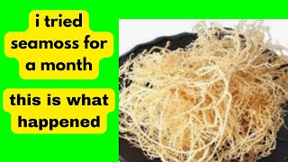 I TOOK SEA MOSS EVERY DAY FOR A MONTH – HERES WHAT HAPPENED [upl. by Anuahs]