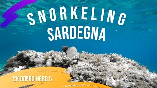 Snorkeling Sardegna  2K GOPRO Hero5 [upl. by Emmanuel]