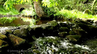 8 hours Water Sounds for Relaxation amp Meditation  Relaxing Stream Waterfall  Babbling Brook Sound [upl. by Thirzia]