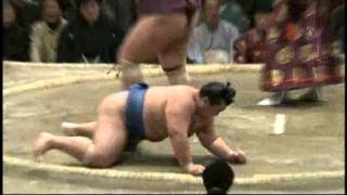 Miyabiyama vs Kotoshogiku [upl. by Freed]