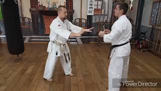 Kanshiwa and Sanseiryu kata bunkai application for free sparring kumite Uechi ryu karate [upl. by Riana]