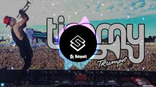 Timmy trumpet freaks no lyrics [upl. by Lady610]