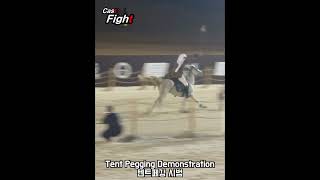 Tent Pegging Demonstration [upl. by Ormsby]