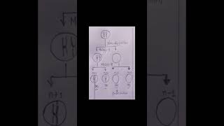 Nondisjuction  Meiosis [upl. by Tavish]