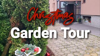 🎄Christmas Garden Tour✨️ Zone 7 gardentour outdoorchristmas wintergarden christmasdecor [upl. by Pepper]