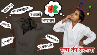 🌺पुष्पीय सरंचना के महत्वपूर्ण बिन्दु Terms🌼  Floral Structure  Biology Practical by Microscope [upl. by Ynnelg]