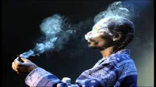 Snoop Dogg  Smoke WEED Everyday remix [upl. by Pich47]