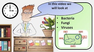 GCSE Biology Pathogens Revision [upl. by Fairweather]