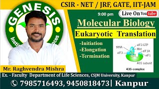 Eukaryotic Translation  Molecular Biology  CSIR NETJRF  Life science [upl. by Auginahs748]