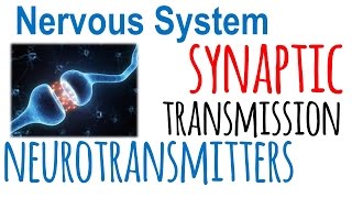 Synaptic transmission and neurotransmitters [upl. by Poole]