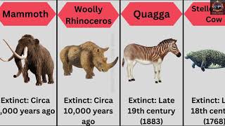 Here Are The 20 Notable Extinct Animals Along With The Approximate Times Animals Comparison [upl. by Yngiram151]