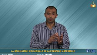 Section Sport  Biologie – La régulation hormonale de la pression artérielle [upl. by Atiuqnahs614]