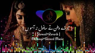 Tery Watan Tyn Sanwal Nah Asoo New Punjabi Song 2024  New Tik Tok Song Viral  Love Song [upl. by Annawaj]