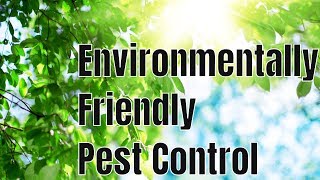 What is the Most Environmentally Friendly 🌎 Pest Control Treatment [upl. by Wake688]