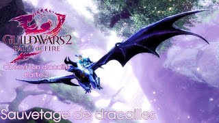 Guild Wars 2  Obtenir son dracaille partie 2  Sauvetage de dracailles [upl. by Aleihs]