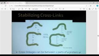 Peptides and amino acids chapter 3 Harpers illustrated biochemistry harpersillustrated [upl. by Ahterod]