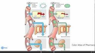 Drug interactions  التفاعلات الدوائية الحلقة 3 [upl. by Dominus]