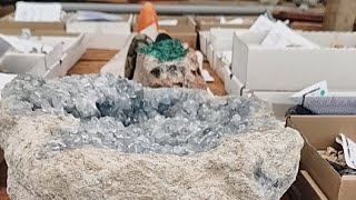 Live Mineral Specimen and Fossil wholesale [upl. by Alenairam530]