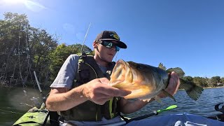 The Best of Both Worlds Chatterbaits and Spinnerbaits Catch BIG Fish Wisconsin Kayak Fishing [upl. by Aniteb]