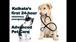 Kolkata’s first Advanced Pet Care  24hour veterinary emergency and critical care unit [upl. by Preuss]