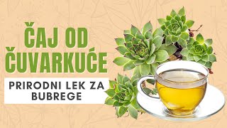 CAJ OD CUVARKUCE prirodni lek za bubrege [upl. by Grete]