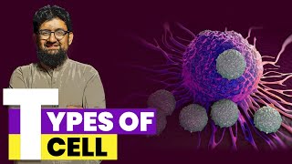 Types of T Cells  Hindi  Urdu [upl. by Elokyn49]