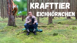 KRAFTTIER Eichhörnchen  eine Interpretation [upl. by Lepine501]