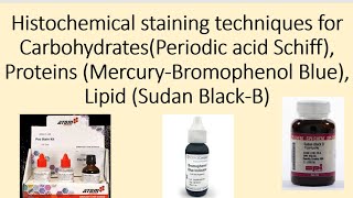 Histochemical staining techniques for Carbohydrates Proteins Lipid [upl. by Nahtanohj]