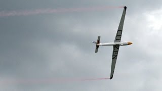 RC MDM1 FOX  Aerobatic  12 Scale [upl. by Dayle661]