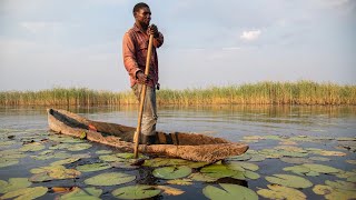 The race to save Zambia’s wetlands [upl. by Eellah309]