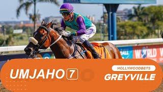 20240918 isiZulu Hollywoodbets Greyville Race 7 won by GIAMBATTISTA [upl. by Ahsined]