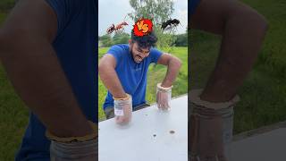 Red Ants VS Black Ants shorts outofmindexperiment [upl. by Filbert]