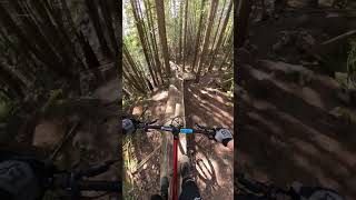 Skinny to Drop  on a Hardtail [upl. by Acissev]