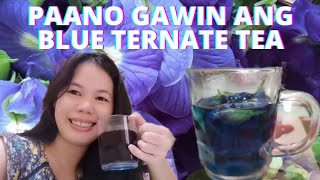 How to make blue ternate teaEasy stepsClitoria ternateButterfly tea [upl. by Soalokin]