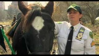 Its My Park Mounted Parks Enforcement Patrol [upl. by Briano]