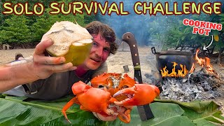 SOLO SURVIVAL CHALLENGE  Hunting Wild Food on a Tropical Island  No Food  Catch and Cook [upl. by Fabria298]