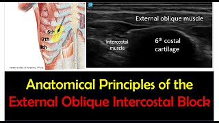 External Oblique Intercostal Block  Anatomical Principles Nov 2023 [upl. by Gris]