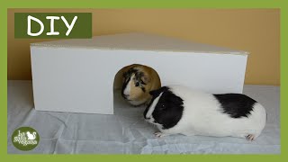 DIY CASETA ESQUINERA PARA COBAYAS CONEJOS CHINCHILLAS Y ERIZOS FÁCIL Y BARATA  LA GATA VEGANA [upl. by Colier]