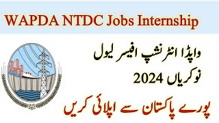 Wapda NTDC Jobs 2024WAPDA Internship Program 2024 [upl. by Pavier]