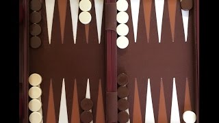 How To Play Backgammon [upl. by Ayana652]