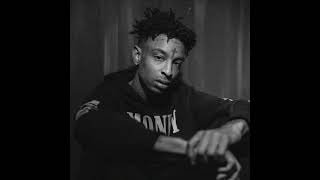 FREE 21 Savage x Metro Boomin Type Beat 2024  quotDeclinequot [upl. by Namruht]