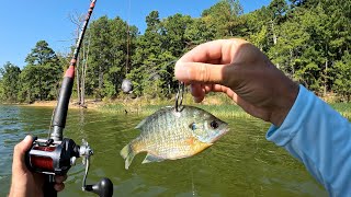 Catfishing for Money  Kerr Lake North Carolina [upl. by Yanat307]