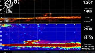 Livescope vs Panoptix [upl. by Philender293]