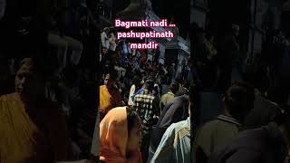 Pashupatinath madir arti pasupatinath pasupatinathtemple youtubeshorts viralvideo [upl. by Dorrie]