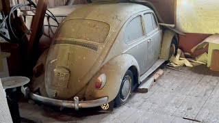 VW Beetle Full Transformation  From Barn Find to Beauty [upl. by Hceicjow315]